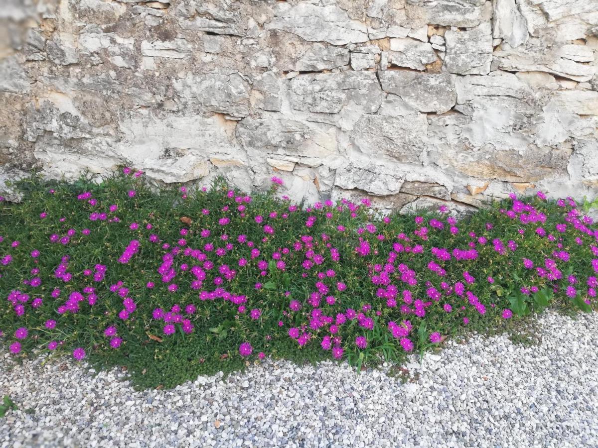 Bed & Breakfast Barbara Borgo Grotta Gigante Exterior foto
